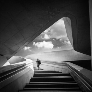 Image of Going Up by Noel Fenech Photography